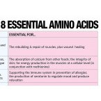8 Essential Amino Acids Cheat Sheet Free