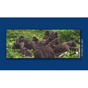 Gorillas Wallpaper